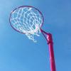 FORZA Replacement Netball Hoop [Regulation Size] - Blue Or Pink (Pink) view 1