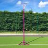 FORZA Replacement Netball Hoop [Regulation Size] - Blue Or Pink (Pink) view 3