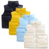 Toddler Boys Girls Winter Vest Sleeveless Collar Solid Color Down Vest with Pockets Smooth Zipper (Blue, 2-3 Years) view 2