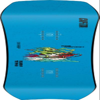 CAPiTA Children of The Pow Youth Snowboard, 135