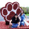 Anderson's Maroon and White Spirit Paw Parade Float Decoration Kit, School Mascot, Homecoming, Sports, High School, College view 2