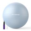 FITMIND_ Extra Thick Exercise Ball Yoga Ball 22in/26in/30in for Workout Pregnancy Stability,Anti-Burst and Slip Resistant Swiss Ball with Pump for Yoga, Pilates, Fitness,Birthing,Physical Therapy view 1