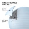 FITMIND_ Extra Thick Exercise Ball Yoga Ball 22in/26in/30in for Workout Pregnancy Stability,Anti-Burst and Slip Resistant Swiss Ball with Pump for Yoga, Pilates, Fitness,Birthing,Physical Therapy view 3