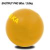 AKA SPORTS GEAR Cast Iron Shot Put (Weights 2.76kg to 7.2kg)(6lb to 16lb) - Great for Outdoor Track & Field Equipment (3.6kg/8lb) view 2