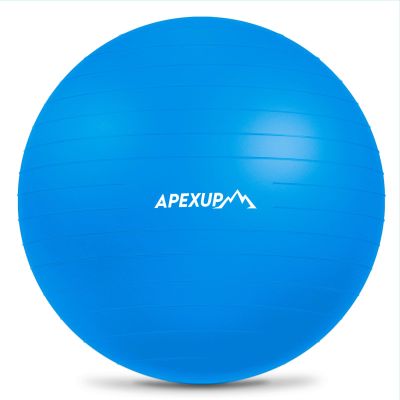 APEXUP Yoga Ball Exercise Ball, Anti Slip Stability Ball Chair, Heavy Duty Large Gym Ball for Fitness, Balance, Core Workout and Physical Therapy (XL (27"~30") 75cm, Blue)
