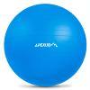 APEXUP Yoga Ball Exercise Ball, Anti Slip Stability Ball Chair, Heavy Duty Large Gym Ball for Fitness, Balance, Core Workout and Physical Therapy (XL (27"~30") 75cm, Blue) view 1