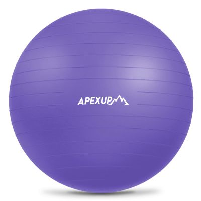 APEXUP Yoga Ball Exercise Ball Anti Slip Heavy Duty for Fitness, Balance & Core Workout (M (19"~22'') 55cm, Purple)