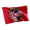 Desert Cactus Indiana Fever Flag Team WNBA 100% Polyester Indoor Outdoor 3x5 feet Flag (Red) view 1