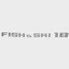 Lowe Boat Decal 2354063 | 18 Fish and Ski 20 1/2 Inch Metallic Silver view 1