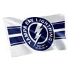 Desert Cactus Tampa Bay Lightning Flag NHL 100% Polyester Indoor Outdoor 3x5 feet National Hockey League Team Flags (Flag B) view 1