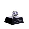 2021 Fantasy Football Ring | Heavy FFL Championship Ring | Silver Plated Award Trophy For Fantasy Football League Winner (size 13, ring and case together) view 1