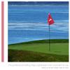 jojofuny 4Pcs Numbered Golf Flags for Putting Green Training Lightweight Wear-Resistant Nylon Pin Flags Golf Targeting Flags for Yard Practice and Accuracy Improvement view 2