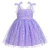 1st Birthday Dress for Baby Girl Toddler Kids First One Year Old Party Princess Dress 2nd 3rd Smash Cake Photo Shooting Spaghetti Straps Bowknot Love Heart Layered Tulle Tutu Dress Violet Heart 2-3T view 1