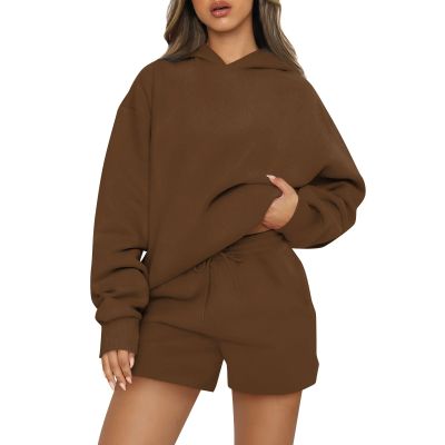 Basysin Lounge Sets for Women Womens 2 Piece Outfits Solid Oversized Hoodies Sweatsuit Sets Casual Sweatshirt and Shorts Set 02-Brown Medium