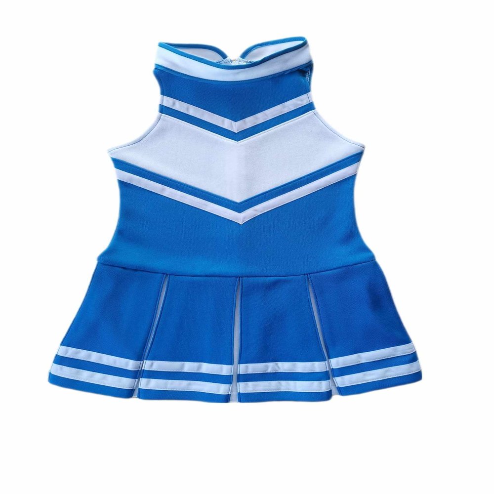 Total 2550 Little Girls' Children Kids Dress Cheerleader Uniform Cheerleading Halloween Costume Medium Blue/White (XXL / 13-16)