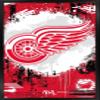 Trends International NHL Detroit Red Wings - Maximalist Logo 23 Wall Poster, 22.4L x 14.7W, Black Framed Version view 1
