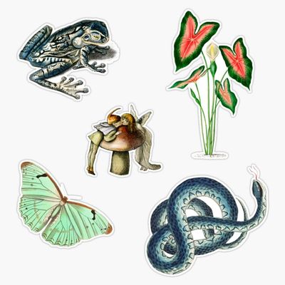Vintage Cottage Core Bumper Sticker Vinyl Decal 5"
