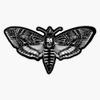 Deaths Head Moth - Silence of The Lambs Bumper Sticker Vinyl Decal 5" view 1