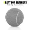 MRYCZ FYRHD Training Tennis Balls  18 Pack Practice Balls with Mesh Bag, Great for Beginners & Dogs, Bulk Tennis Balls for Training & Play view 2
