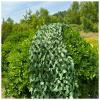 AITAF Camouflage Netting Green Camo Netting 1m 2m 3m 4m Polyester Outdoor Camo Net Hhunting Shelters for Shooting Decoration Sunshade Camping and Building Shelters (Size : 3m x 4m) view 1