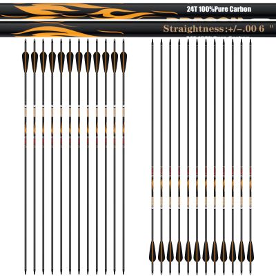 sanlida 24 PCs, 100% Pure Carbon Arrows, 0.006'' Straightness, Dragon 8 Flagship 24T Carbon Hunting Arrow for Compound Bow, Professional Standard Hunting Arrows with Removable Tips (320 Spine)