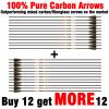 sanlida 24 PCs, 100% Pure Carbon Arrows, 0.006'' Straightness, Dragon 8 Flagship 24T Carbon Hunting Arrow for Compound Bow, Professional Standard Hunting Arrows with Removable Tips (320 Spine) view 2