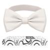 Adam Young Boy's Ivory Bow Tie Pre-Tied Style Formal Satin Classic Bowtie for Tuxedo Faux Silk (Medium, Ivory) view 1