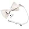 Adam Young Boy's Ivory Bow Tie Pre-Tied Style Formal Satin Classic Bowtie for Tuxedo Faux Silk (Medium, Ivory) view 3