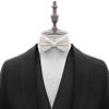 Adam Young Boy's Ivory Bow Tie Pre-Tied Style Formal Satin Classic Bowtie for Tuxedo Faux Silk (Medium, Ivory) view 4