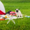 BESPORTBLE Aluminum Alloy Camping Seat Folding Foot Stool Sturdy for Travel Outdoor Use view 3