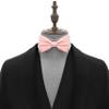 Adam Young Boy's Light Peach Bow Tie Pre-Tied Style Formal Satin Classic Bowtie for Tuxedo Faux Silk (Medium, Light Peach) view 4