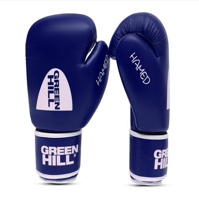Boxing Gloves HAMED WITHOUT TARGET