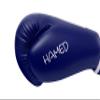 Boxing Gloves HAMED WITHOUT TARGET view 2
