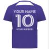 Custom Soccer Jersey with Name Number Team Logo Personalized Soccer Shirts for Youth Purple X-Large view 4