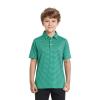 Boys Polo Shirts Short Sleeve Striped Performance Moisture Wicking Dry Fit Golf Shirts for Boys Youth Kids view 2