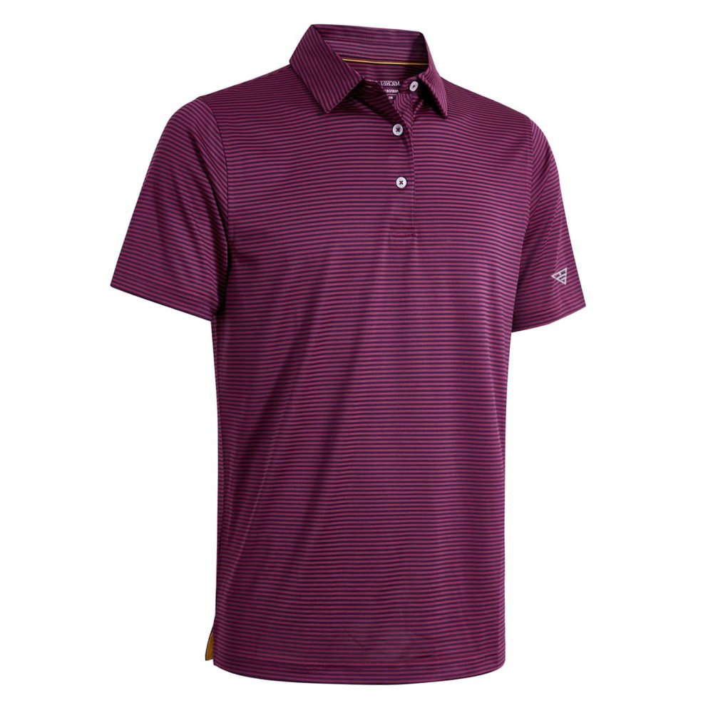 Boys Polo Shirts Short Sleeve Striped Performance Moisture Wicking Dry Fit Golf Shirts for Boys Youth Kids