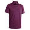 Boys Polo Shirts Short Sleeve Striped Performance Moisture Wicking Dry Fit Golf Shirts for Boys Youth Kids view 1
