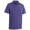 Boys Polo Shirts Short Sleeve Striped Performance Moisture Wicking Dry Fit Golf Shirts for Boys Youth Kids view 1