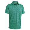 Boys Polo Shirts Short Sleeve Striped Performance Moisture Wicking Dry Fit Golf Shirts for Boys Youth Kids view 1