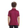 Boys Polo Shirts Short Sleeve Striped Performance Moisture Wicking Dry Fit Golf Shirts for Boys Youth Kids view 4