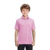 Boys Polo Shirts Short Sleeve Striped Performance Moisture Wicking Dry Fit Golf Shirts for Boys Youth Kids view 2