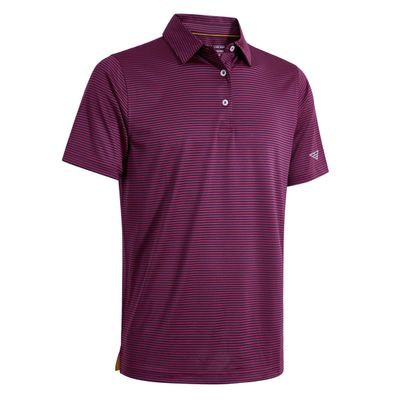 Boys Polo Shirts Short Sleeve Striped Performance Moisture Wicking Dry Fit Golf Shirts for Boys Youth Kids