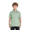 Boys Polo Shirts Short Sleeve Striped Performance Moisture Wicking Dry Fit Golf Shirts for Boys Youth Kids view 2