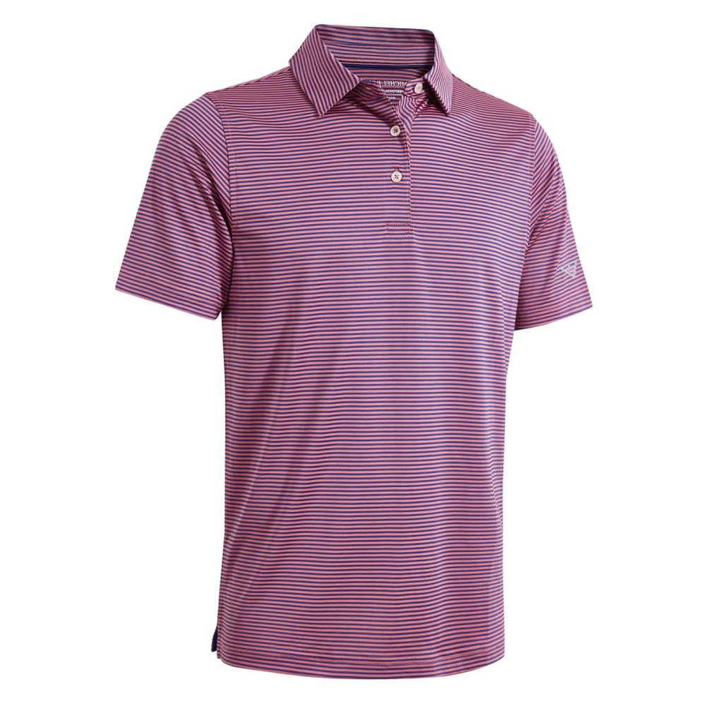 Boys Polo Shirts Short Sleeve Striped Performance Moisture Wicking Dry Fit Golf Shirts for Boys Youth Kids