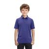 Boys Polo Shirts Short Sleeve Striped Performance Moisture Wicking Dry Fit Golf Shirts for Boys Youth Kids view 2