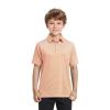 Boys Polo Shirts Short Sleeve Striped Performance Moisture Wicking Dry Fit Golf Shirts for Boys Youth Kids view 2