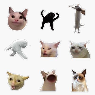 Meme Cats Pack Sticker Vinyl Waterproof Sticker Decal Car Laptop Wall Window Bumper Sticker 5"