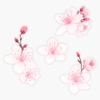 Cherry Blossom Sticker Vinyl Waterproof Sticker Decal Car Laptop Wall Window Bumper Sticker 5" view 1