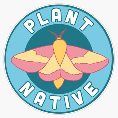 Plant Native Rosy Maple Moth Sticker Vinyl Waterproof Sticker Decal Car Laptop Wall Window Bumper Sticker 5"