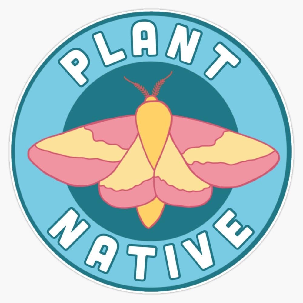 Plant Native Rosy Maple Moth Sticker Vinyl Waterproof Sticker Decal Car Laptop Wall Window Bumper Sticker 5"